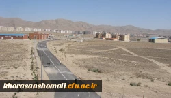 خیابان دانشگاه 2