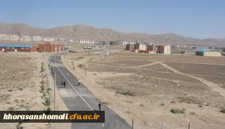 خیابان دانشگاه