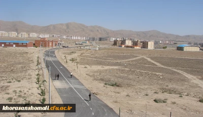 خیابان دانشگاه