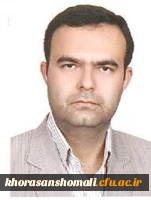 حسن تیمورزاده