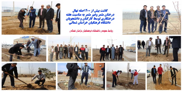 کاشت بیش ا ز 200 اصله نهال درختان مثمر و غیر مثمر به مناسبت هفته درختکاری در دانشگاه فرهنگیان 2