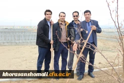 کاشت بیش ا ز 200 اصله نهال درختان مثمر و غیر مثمر به مناسبت هفته درختکاری در دانشگاه فرهنگیان 4