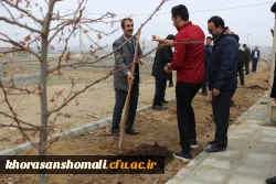 کاشت بیش ا ز 200 اصله نهال درختان مثمر و غیر مثمر به مناسبت هفته درختکاری در دانشگاه فرهنگیان 3
