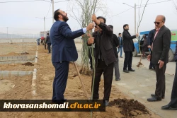 کاشت بیش ا ز 200 اصله نهال درختان مثمر و غیر مثمر به مناسبت هفته درختکاری در دانشگاه فرهنگیان 5