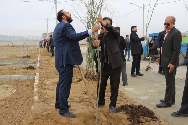 کاشت بیش ا ز 200 اصله نهال درختان مثمر و غیر مثمر به مناسبت هفته درختکاری در دانشگاه فرهنگیان 5
