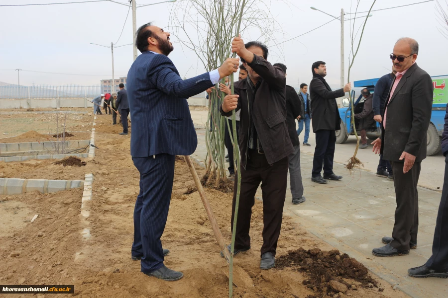 کاشت بیش ا ز 200 اصله نهال درختان مثمر و غیر مثمر به مناسبت هفته درختکاری در دانشگاه فرهنگیان 5