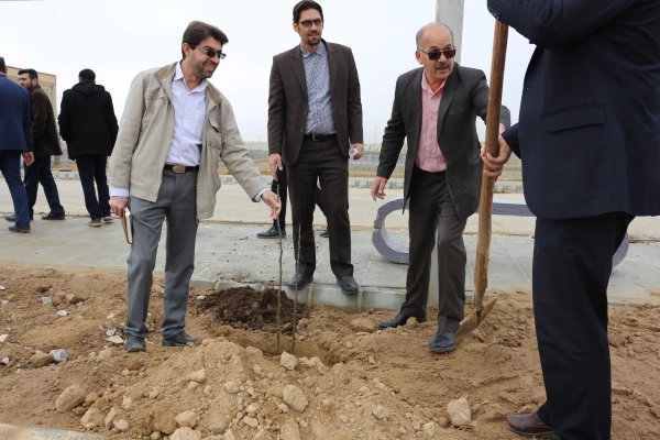 کاشت بیش ا ز 200 اصله نهال درختان مثمر و غیر مثمر به مناسبت هفته درختکاری در دانشگاه فرهنگیان 7