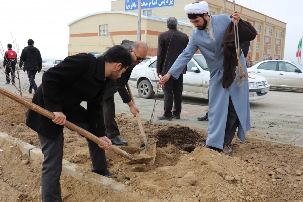 کاشت بیش ا ز 200 اصله نهال درختان مثمر و غیر مثمر به مناسبت هفته درختکاری در دانشگاه فرهنگیان 9