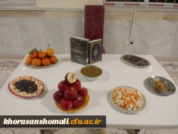 مراسم شب یلدا ، با حضور تعداد کثیری از دانشجویان پردیس امام محمد باقر(ع) در سراهای دانشجویی برگزار گردید. 2