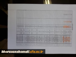 کسب مقام اول رشته آمادگی جسمانی دانشجویان پسر پردیس امام محمد باقر(ع)در دومین جشنواره مسابقات کشوری ورزش های همگانی به میزبانی تهران 2