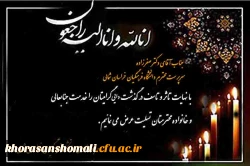 342055_3504922356_320_213.jpgصفرزاده 