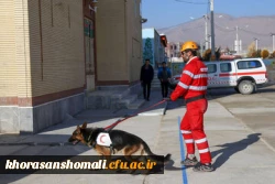 برگزاری مانور ترکیبی امداد و نجات در زلزله در محل دانشگاه فرهنگیان خراسان شمالی  16