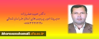 مدیر امور پردیس های استان