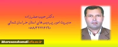 مدیر امور پردیس های استان