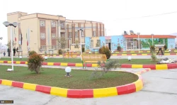 تصاویر برادران 2