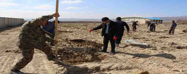 کاشت بیش از 150 اصل نهال درختان مثمر در پردیس های دانشگاه فرهنگیان خراسان شمالی  2