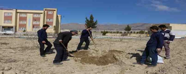 کاشت بیش از 150 اصل نهال درختان مثمر در پردیس های دانشگاه فرهنگیان خراسان شمالی  3