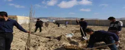 کاشت بیش از 150 اصل نهال درختان مثمر در پردیس های دانشگاه فرهنگیان خراسان شمالی  5