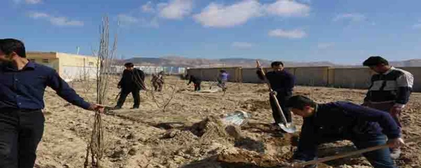 کاشت بیش از 150 اصل نهال درختان مثمر در پردیس های دانشگاه فرهنگیان خراسان شمالی  5