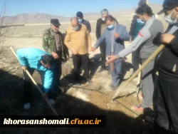 آغاز درختکاری در دانشگاه 2