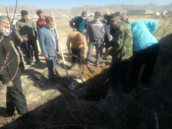 آغاز درختکاری در دانشگاه 3