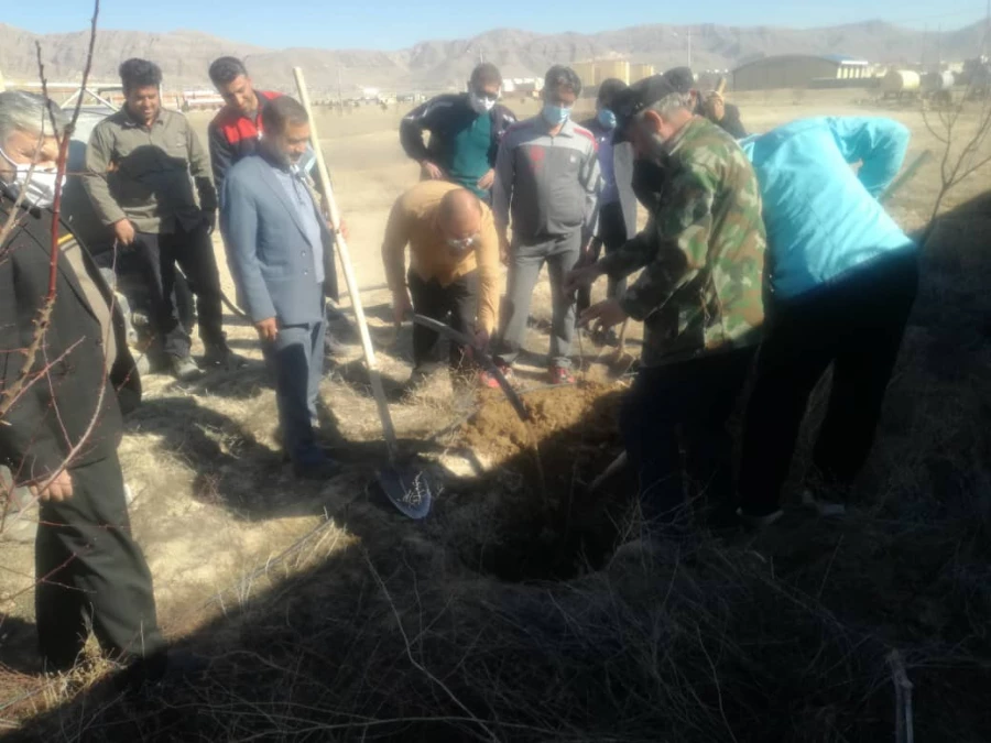 آغاز درختکاری در دانشگاه 3