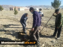 آغاز درختکاری در دانشگاه 4
