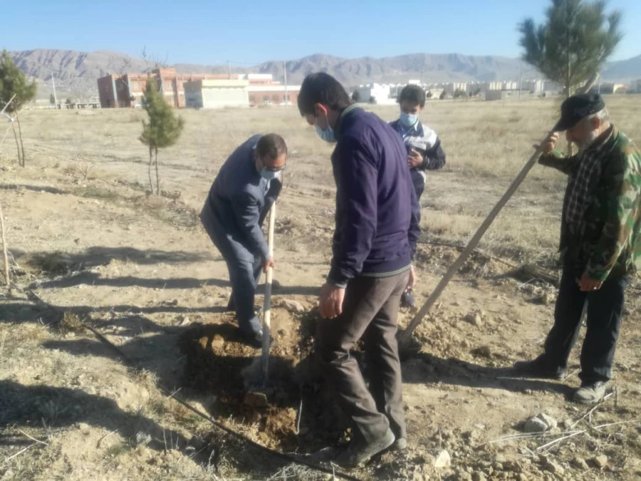 آغاز درختکاری در دانشگاه 4