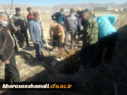 آغاز درختکاری در دانشگاه 5