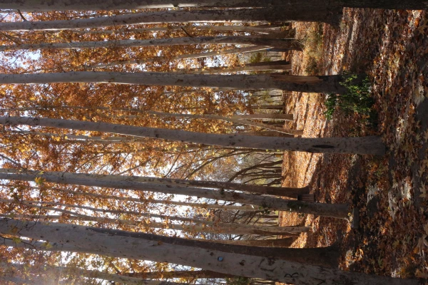 سه شنبه های شاد ورزشی در دانشگاه فرهنگیان استان خراسان شمالی  با حضور کارکنان  10