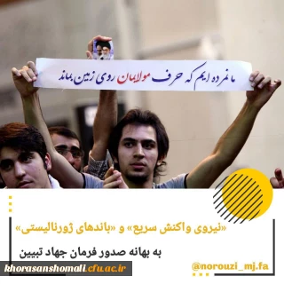  «نیروی واکنش سریع» و «باندهای ژورنالیستی»