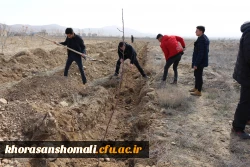 برگزاری مراسم روز درختکاری در دانشگاه فرهنگیان  4