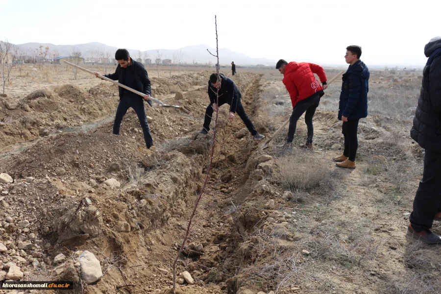برگزاری مراسم روز درختکاری در دانشگاه فرهنگیان  4