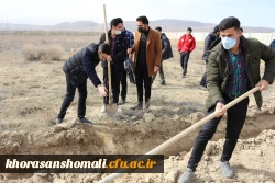 برگزاری مراسم روز درختکاری در دانشگاه فرهنگیان  16