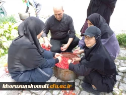 به مناسبت دهه سر آمدی آموزش برنامه پیاده روی دانشجو معلمان پردیس امام جعفر صادق (ع) 2