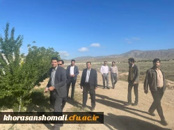 برنامه پیاده روی کارکنان دانشگاه فرهنگیان  6