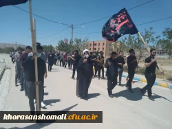 WhatsApp Image 2022-08-03 at 1.08.49 PM