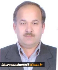 حسین میرزایی