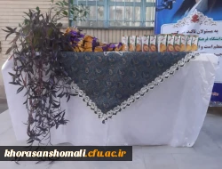  برگزاری ایستگاه صلواتی به مناسبت اعیاد شعبانیه در پردیس امام جعفر صادق (ع)
 4