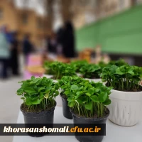 بازارچه خیریه پردیس خواهران به مناسبت روز احسان و نیکوکاری 4