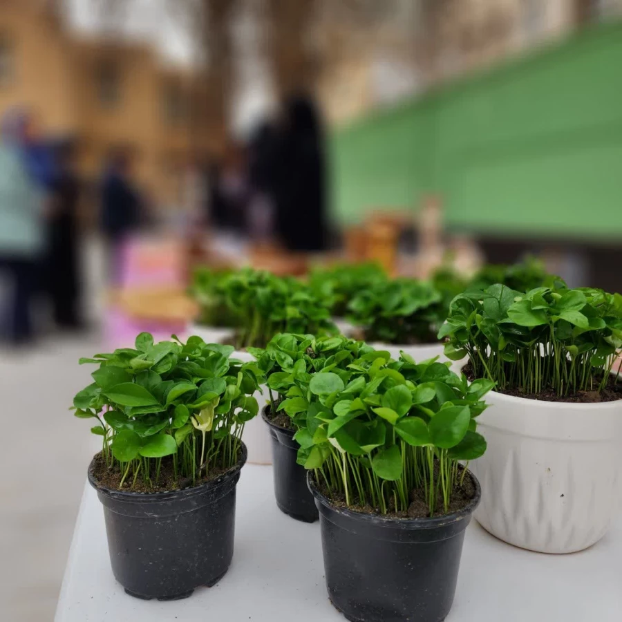 بازارچه خیریه پردیس خواهران به مناسبت روز احسان و نیکوکاری 4