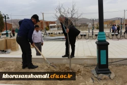 کاشت نهال به مناسبت روز درختکاری در محوطه گلزار شهدای گمنام و فضاهای سبز دانشگاه 2