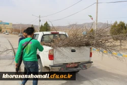 کاشت نهال به مناسبت روز درختکاری در محوطه گلزار شهدای گمنام و فضاهای سبز دانشگاه 3