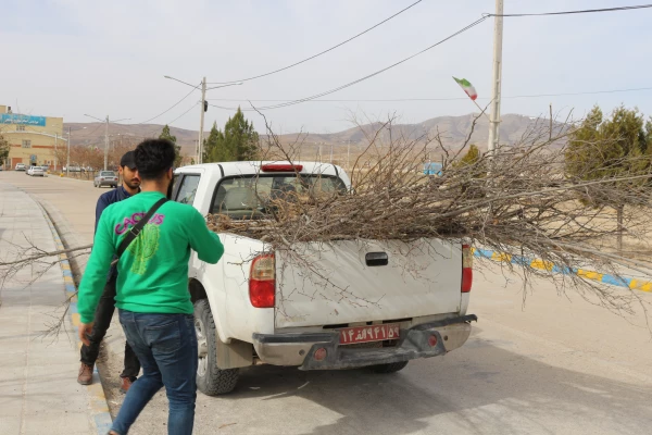 کاشت نهال به مناسبت روز درختکاری در محوطه گلزار شهدای گمنام و فضاهای سبز دانشگاه 3