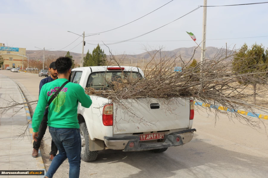 کاشت نهال به مناسبت روز درختکاری در محوطه گلزار شهدای گمنام و فضاهای سبز دانشگاه 3