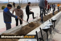 کاشت نهال به مناسبت روز درختکاری در محوطه گلزار شهدای گمنام و فضاهای سبز دانشگاه 4