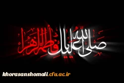 شهادت حضرت فاطمه س 2